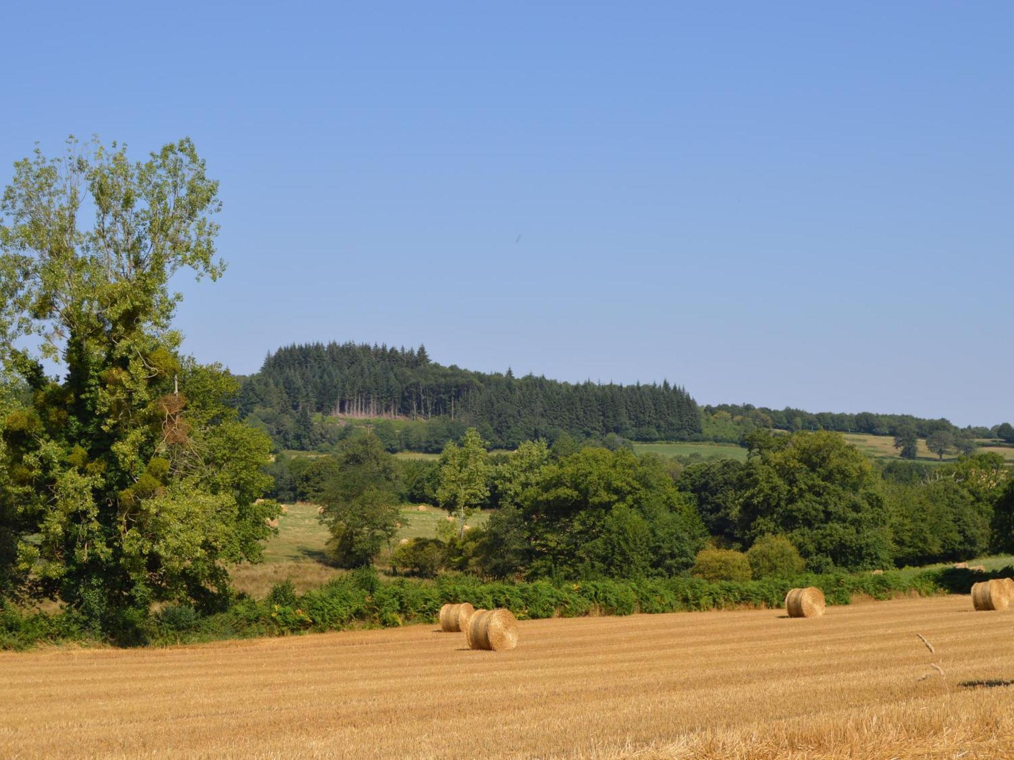 Grande Ferme Renovee Avec Jardin Et Loisirs A Proximite - Fr-1-591-155 Villa Pouligny-Notre-Dame Eksteriør bilde